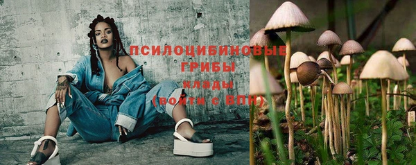 дживик Алексин