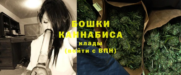 ПСИЛОЦИБИНОВЫЕ ГРИБЫ Алзамай