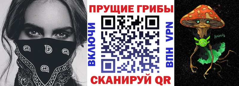 kraken зеркало  купить наркотики цена  Кондопога  Галлюциногенные грибы прущие грибы 