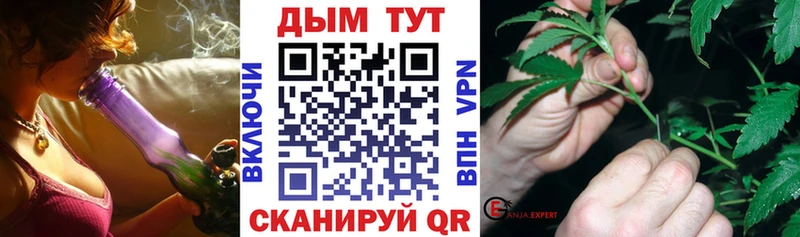 магазин продажи наркотиков  Кондопога  Канабис семена 