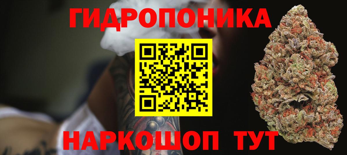 Бошки Шишки марихуана Кондопога